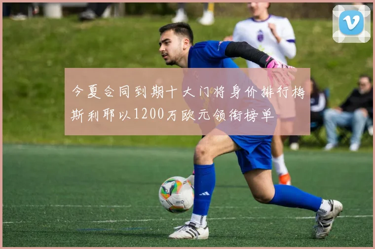 今夏合同到期十大门将身价排行梅斯利耶以1200万欧元领衔榜单
